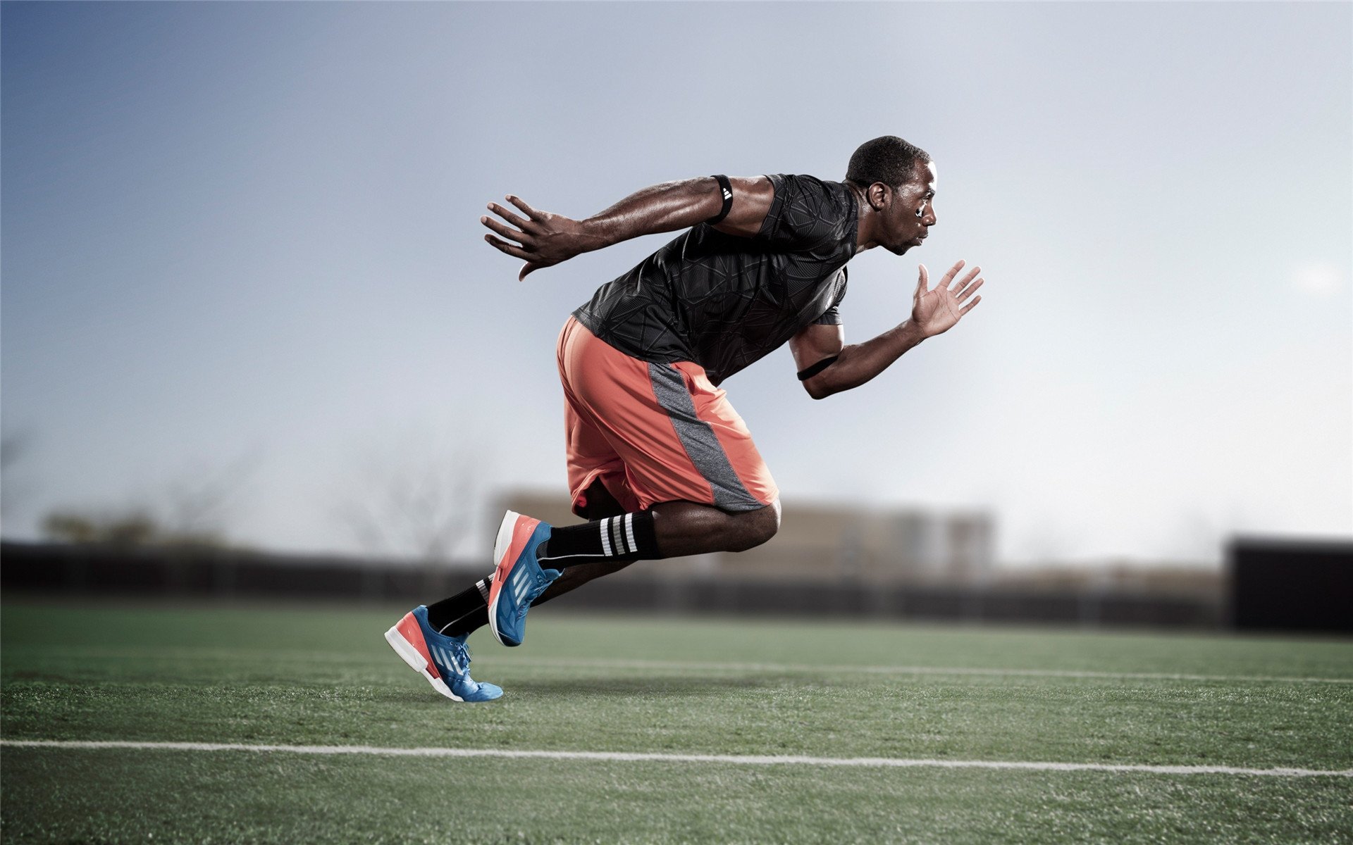 体育场馆绿色环保改造，体育场馆绿色环保改造方案