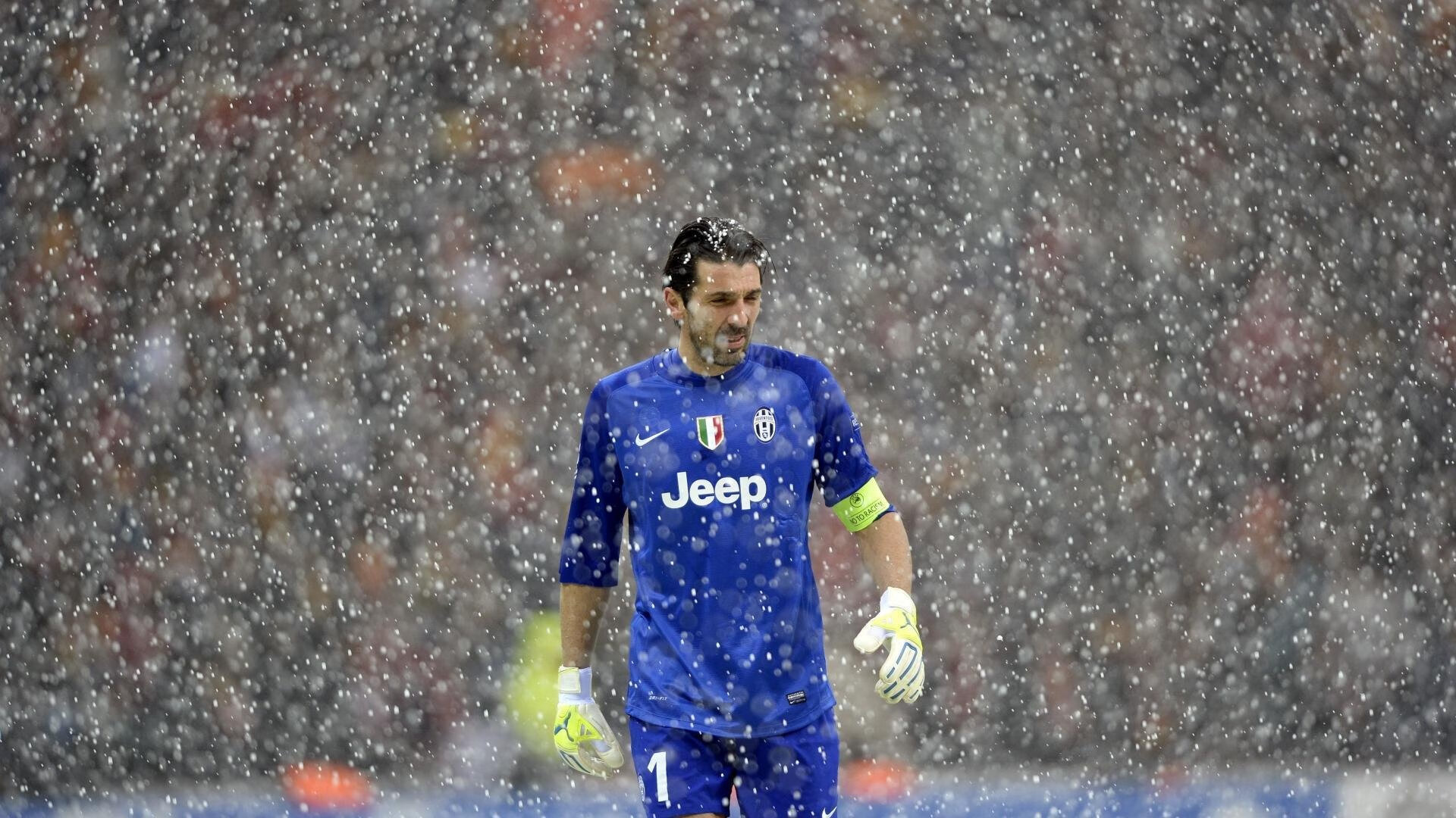 伯科夫女子50米仰泳决赛夺冠有望