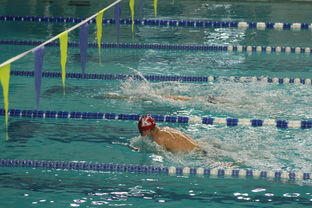 全国青少年游泳锦标赛青春风采尽展，全国青少年游泳比赛成绩